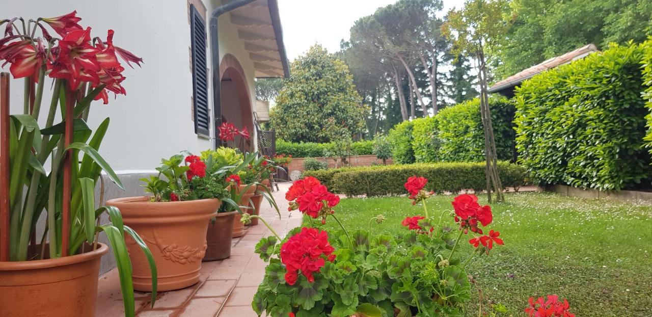 La Casa Di Gigliola * Monticiano