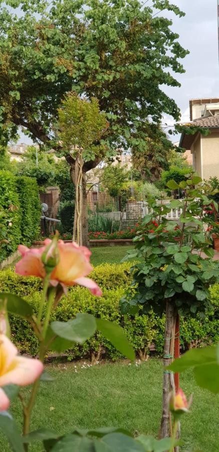 La Casa Di Gigliola Monticiano