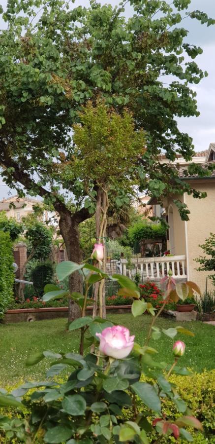 La Casa Di Gigliola Monticiano