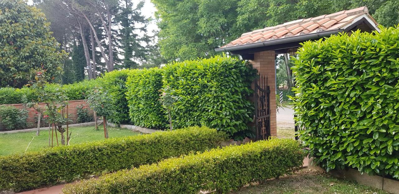 Holiday home La Casa Di Gigliola Monticiano